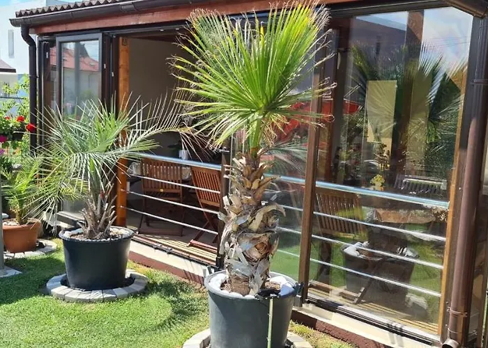 Casa Andu بيت ضيافة إيفوري نورد