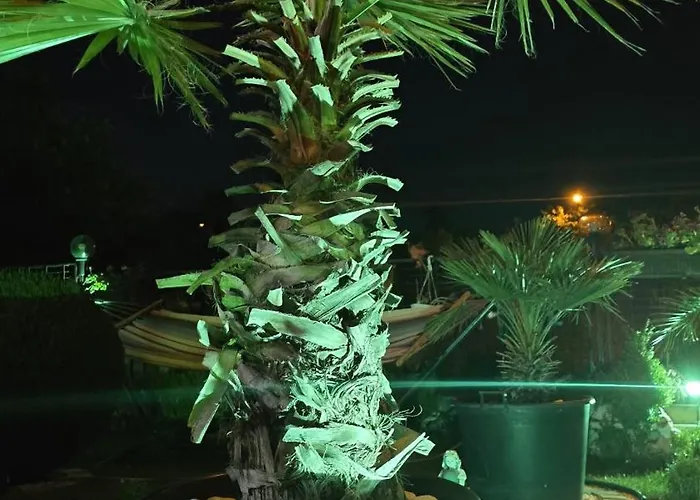 Casa Andu بيت ضيافة 3*