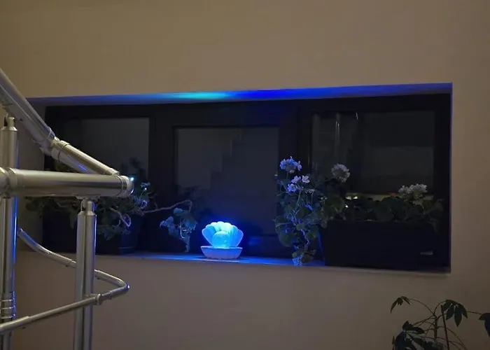 Casa Andu بيت ضيافة 3*