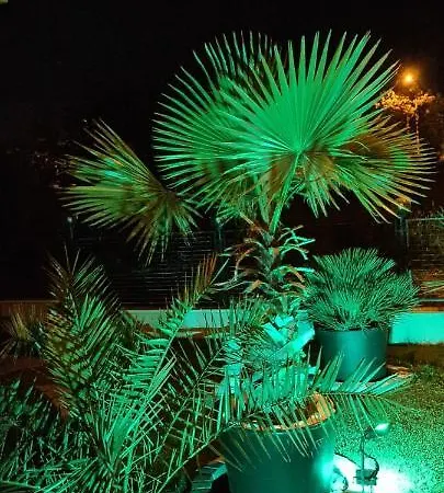 ゲストハウス Casa Andu 3*