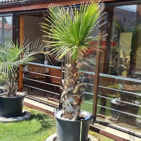 Casa Andu Πανσιόν Eforie Nord