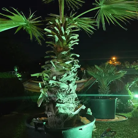 Casa Andu Pensjonat 3*