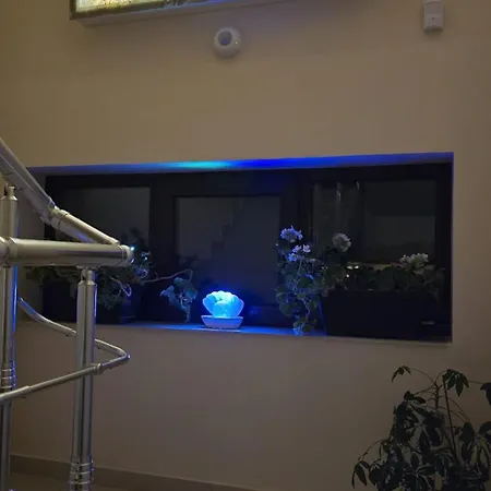 Casa Andu Πανσιόν 3*
