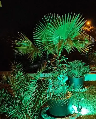 招待所 Casa Andu 3*