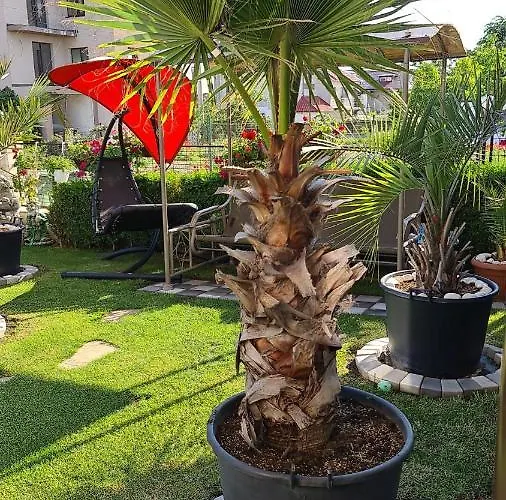 Casa Andu 艾福雷诺德